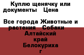 Куплю щенячку или документы › Цена ­ 3 000 - Все города Животные и растения » Собаки   . Алтайский край,Белокуриха г.